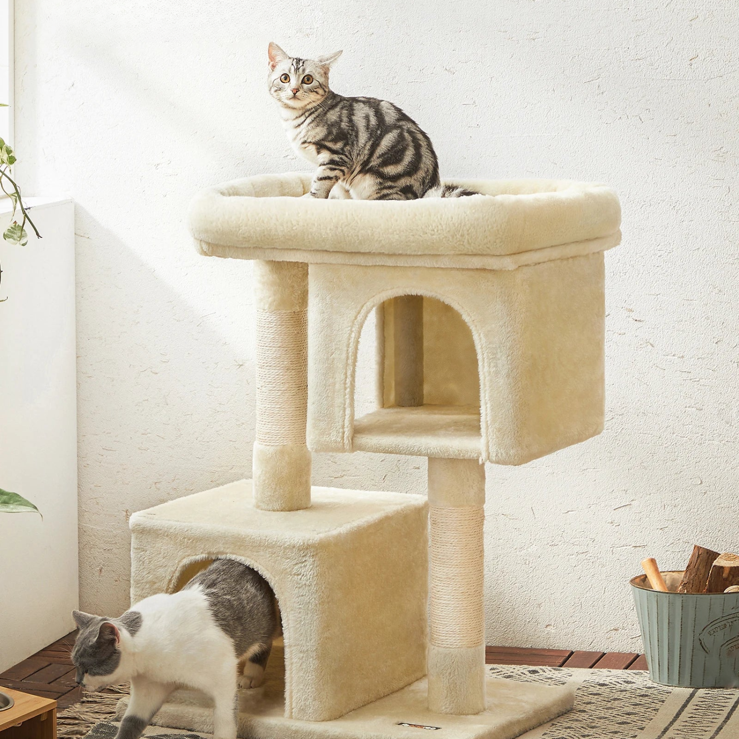 Arbre à Chat 84cm avec Condos Douillets - Structure Stable Beige pour Grands Chats, Griffoirs Sisal et Perchoir Lavable