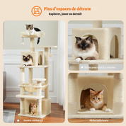 Arbre à chat XXL – hamac, niches et perchoirs pour petits espaces
