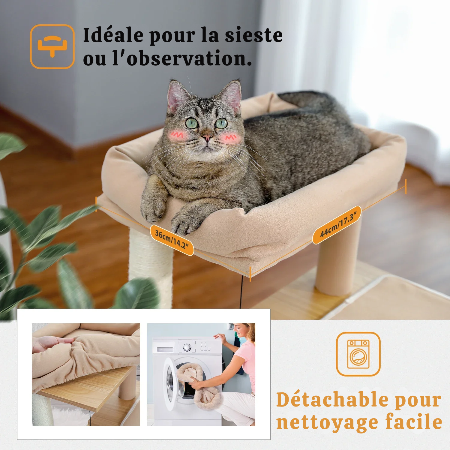 Arbre à chat petit - perchoir extra-large, double niche, griffoir sisal