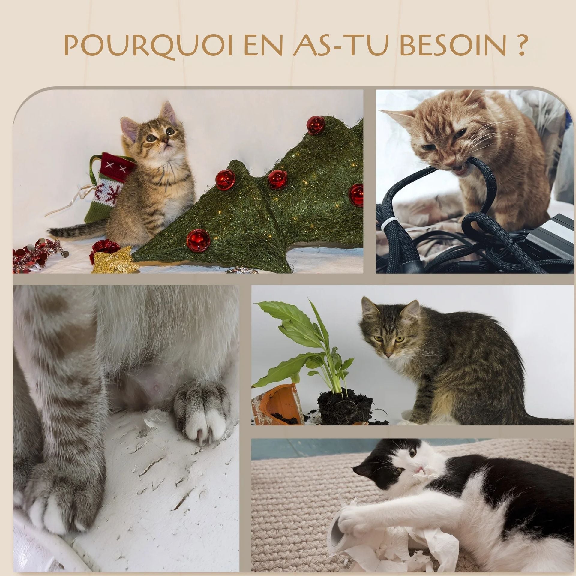Arbre à chat mural avec hamac suspendu – design compact et 100 % vertical
