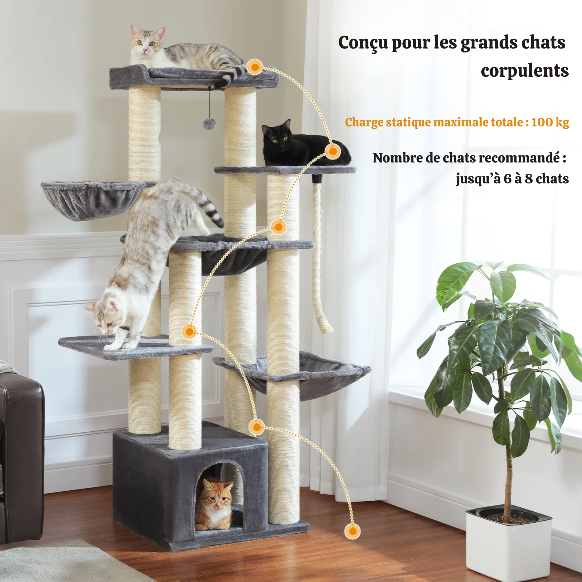 Arbre à chat XXL 170 cm – structure massive et ultra stable