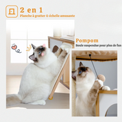 Arbre à chat petit - perchoir extra-large, double niche, griffoir sisal