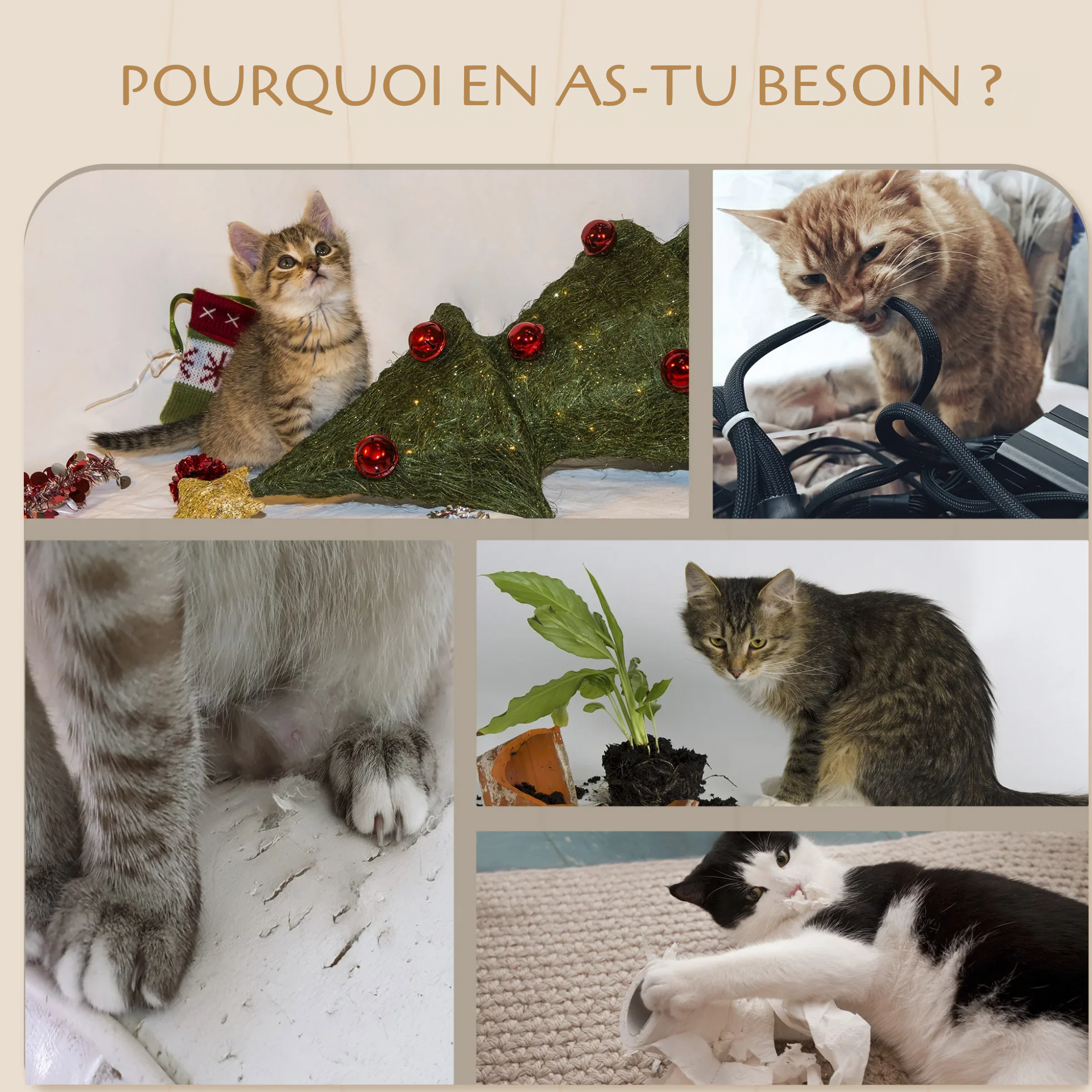 Arbre à chat mural 5 niveaux – espace de jeu vertical sans emprise au sol