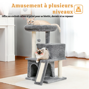 Arbre à chat petit - perchoir extra-large, double niche, griffoir sisal