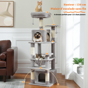 Arbre à chat XXL – hamac, niches et perchoirs pour petits espaces