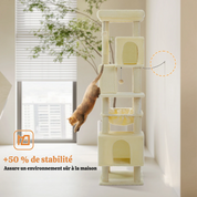 Arbre à chat XXL - avec hamac, niches et perchoir XXL