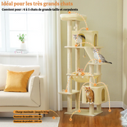 Arbre à chat XXL - avec hamac, niches et perchoir XXL