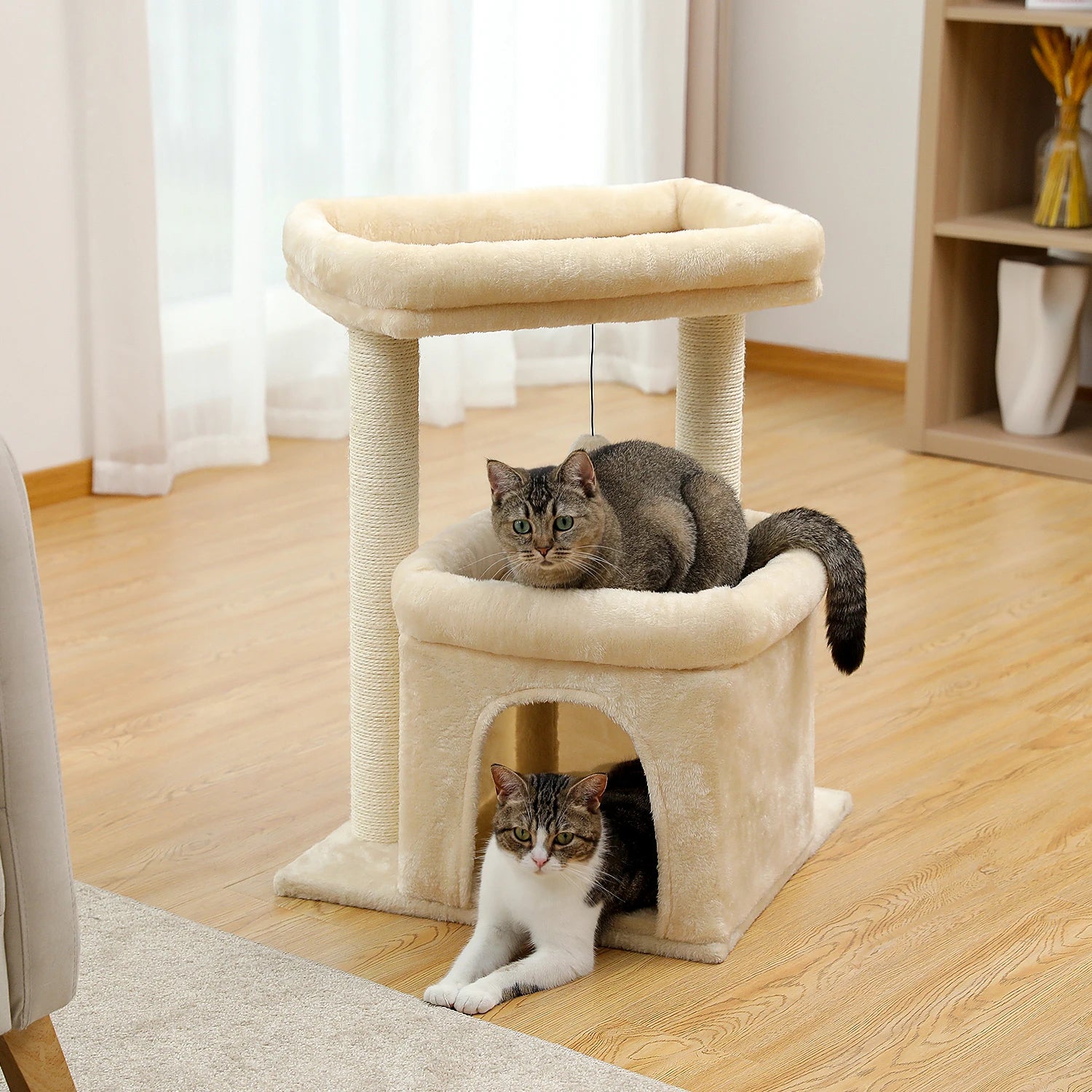 Arbre à chat petit espace : doubles perchoirs, sisal naturel, confort multi chat