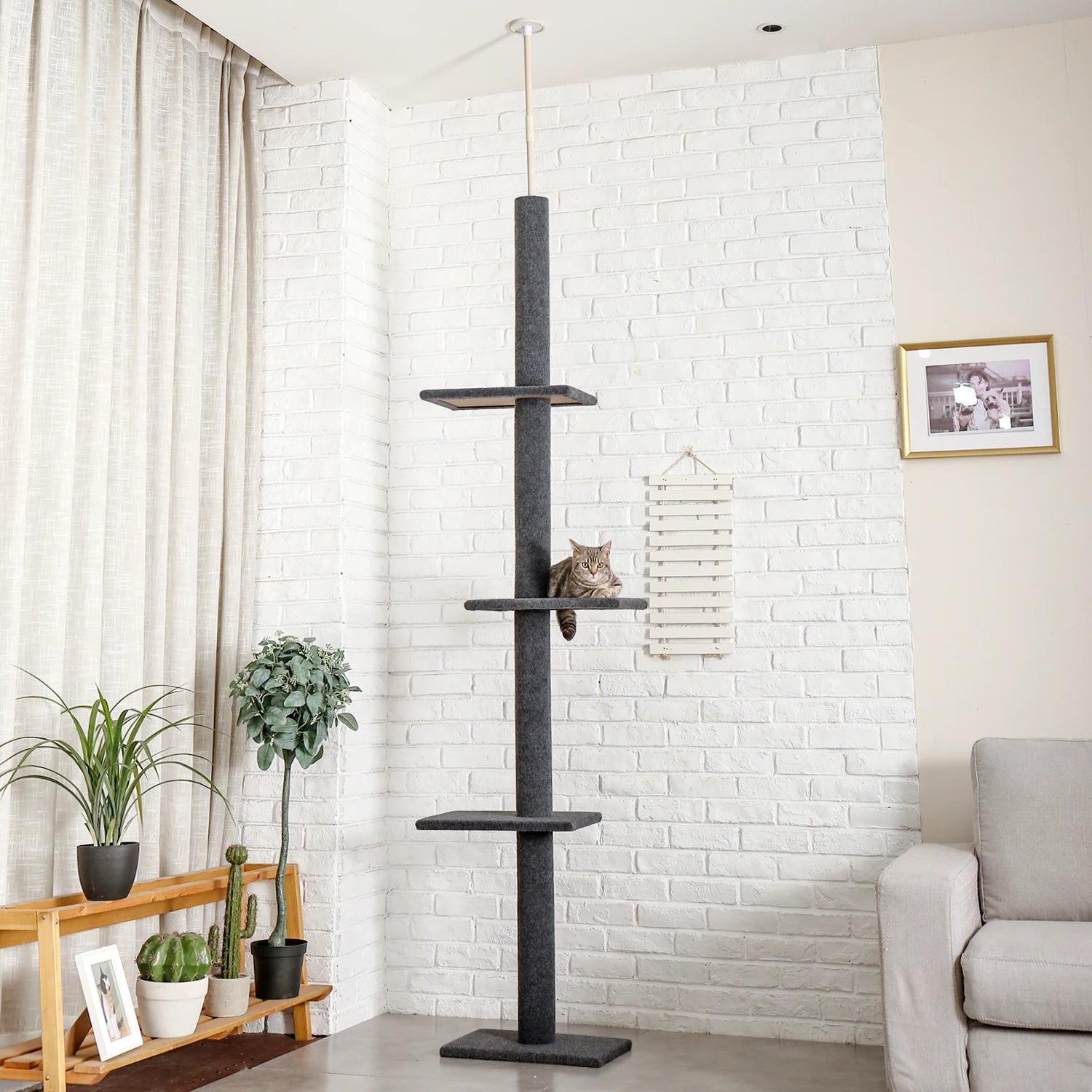 Arbre à chat plafond XXL cactus ajustable - 5 niveaux, griffoirs sisal