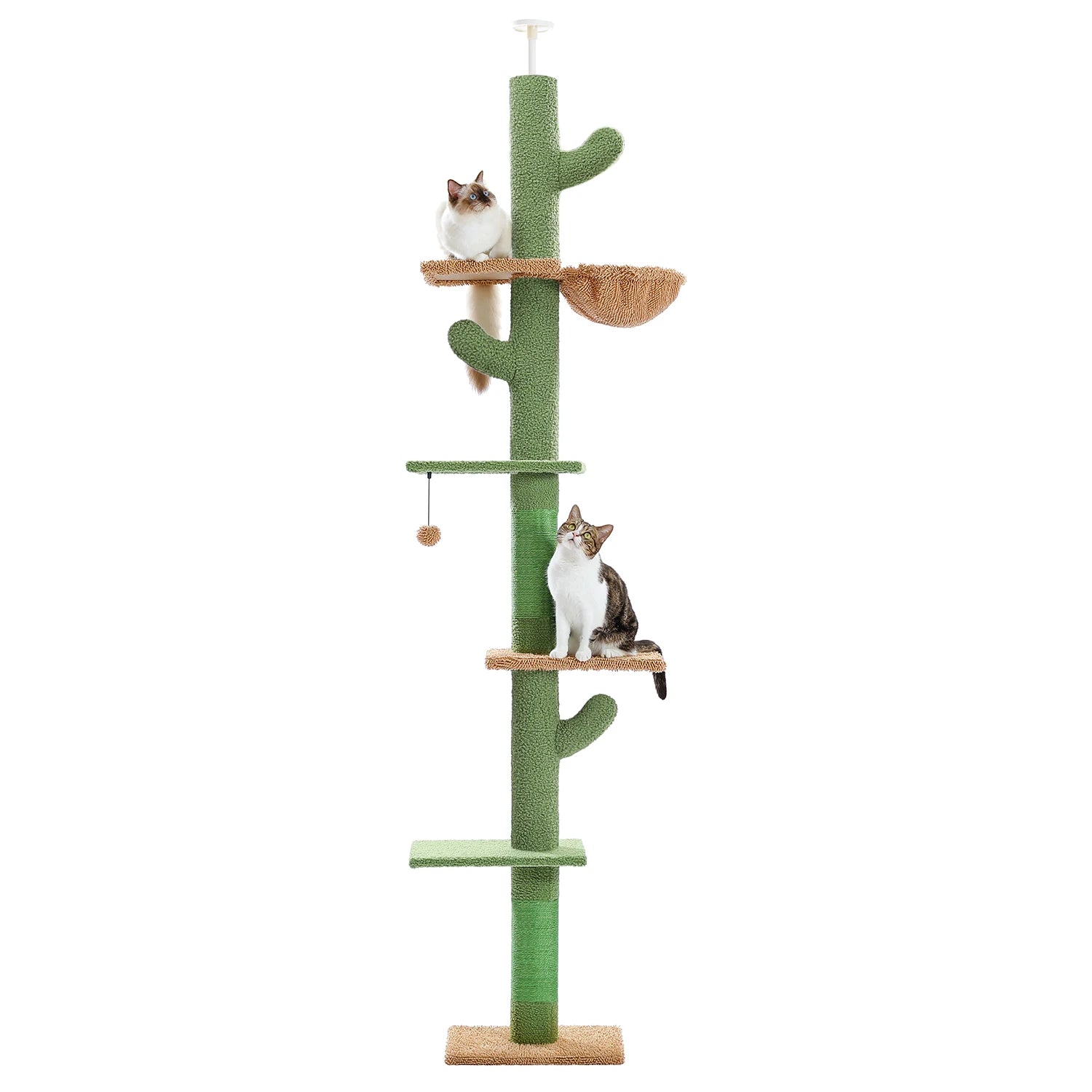 Arbre à chat plafond XXL cactus ajustable - 5 niveaux, griffoirs sisal