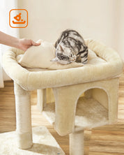 Arbre à chat petit avec condos douillets - structure stable pour grands Chats, griffoirs sisal et perchoir lavable