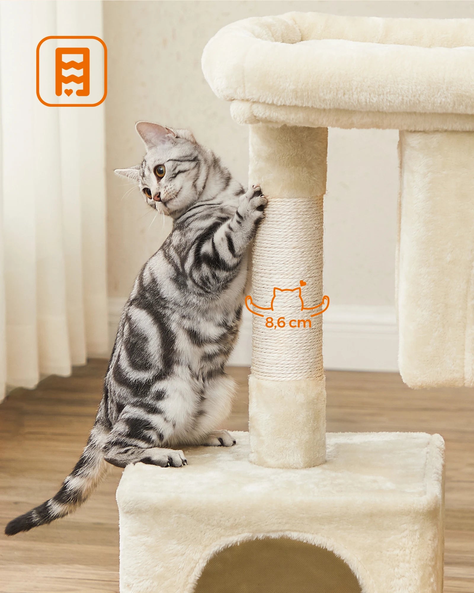 Arbre à chat petit avec condos douillets - structure stable pour grands Chats, griffoirs sisal et perchoir lavable