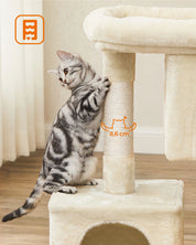 Arbre à chat petit avec condos douillets - structure stable pour grands Chats, griffoirs sisal et perchoir lavable