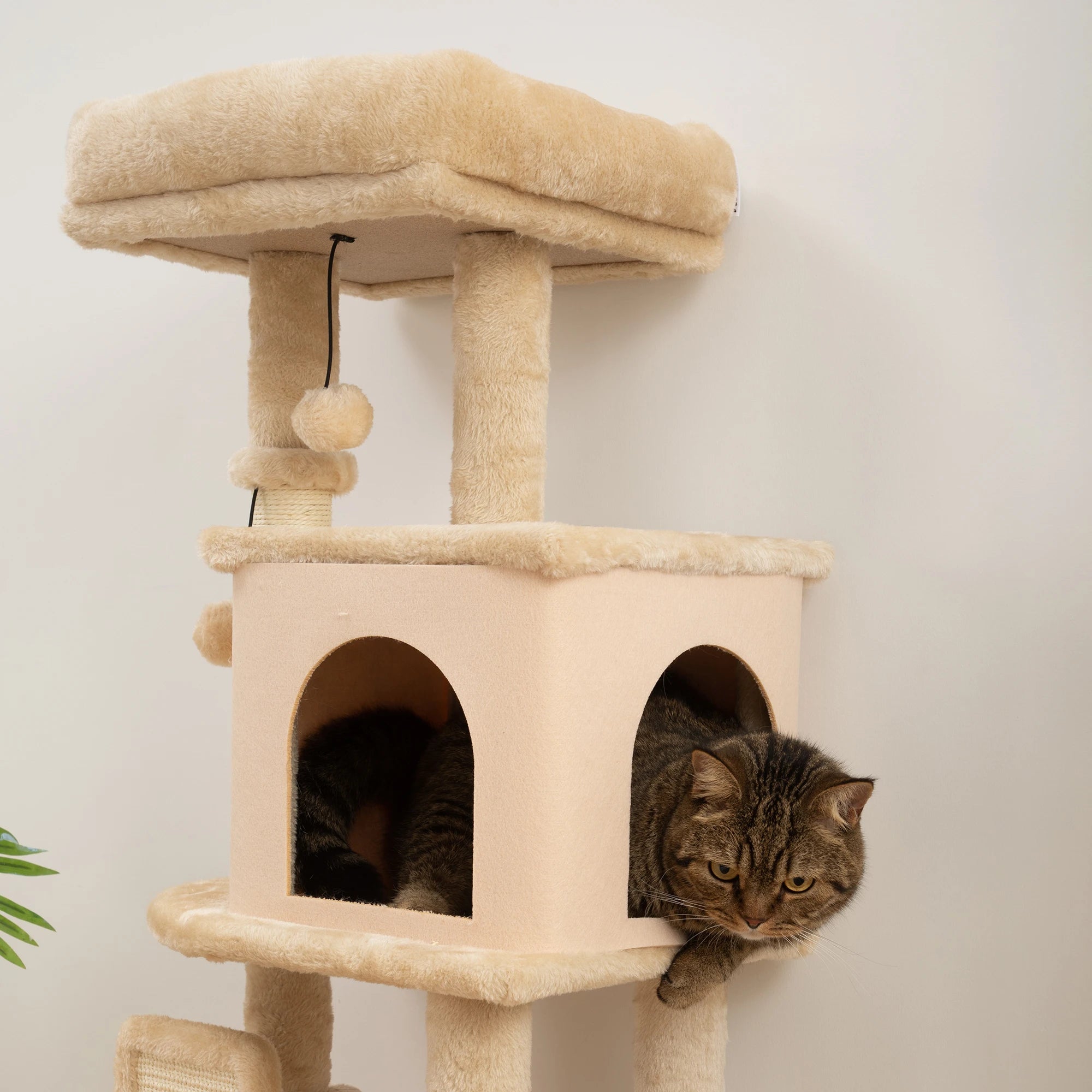 Arbre à chat XXL géant et brosse intégrée - 3 plateformes, niche spacieuse et griffoirs sisal