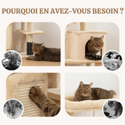 Arbre à chat XXL géant et brosse intégrée - 3 plateformes, niche spacieuse et griffoirs sisal