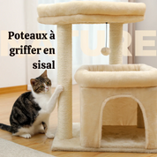 Arbre à Chat Petit Espace : Doubles Perchoirs, Sisal Naturel, Confort Multi chat