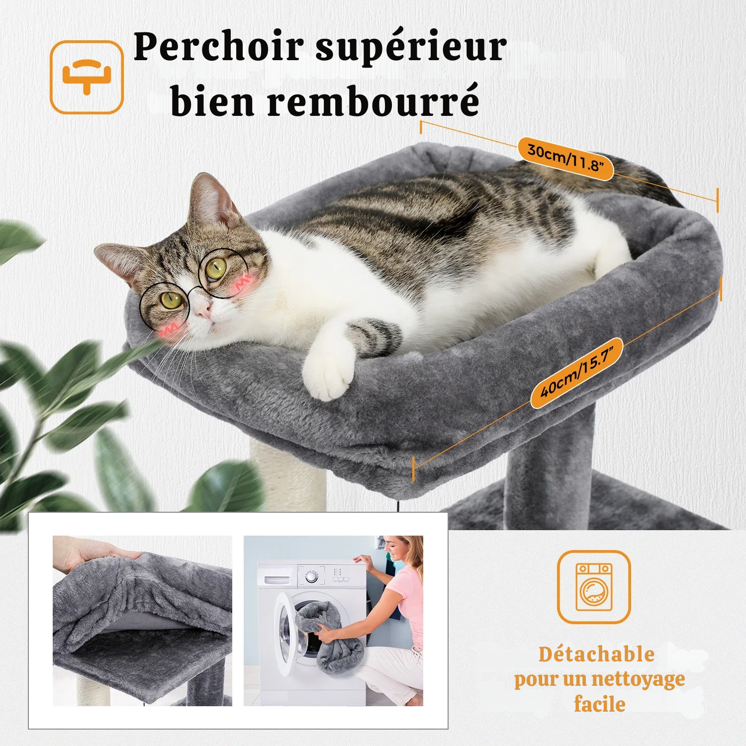 Arbre à Chat Évolutif : Dimensions Variables, Double Espace, Robustesse Garantie