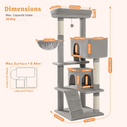 Arbre à Chat Évolutif : Dimensions Variables, Double Espace, Robustesse Garantie