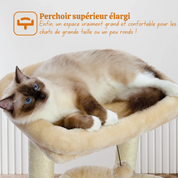 Arbre à Chat Petit Espace : Doubles Perchoirs, Sisal Naturel, Confort Multi chat
